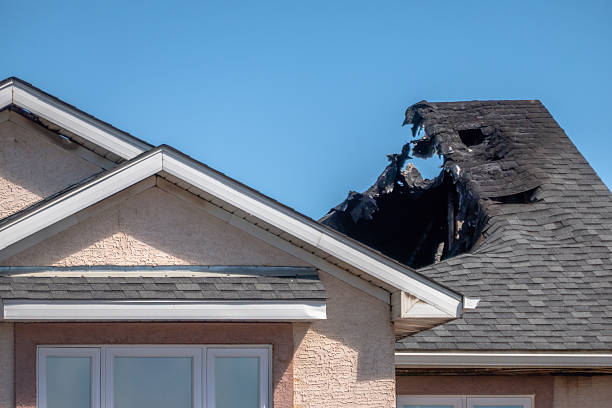 Top rated local Fire Damage Removal specialists in Kent, WA